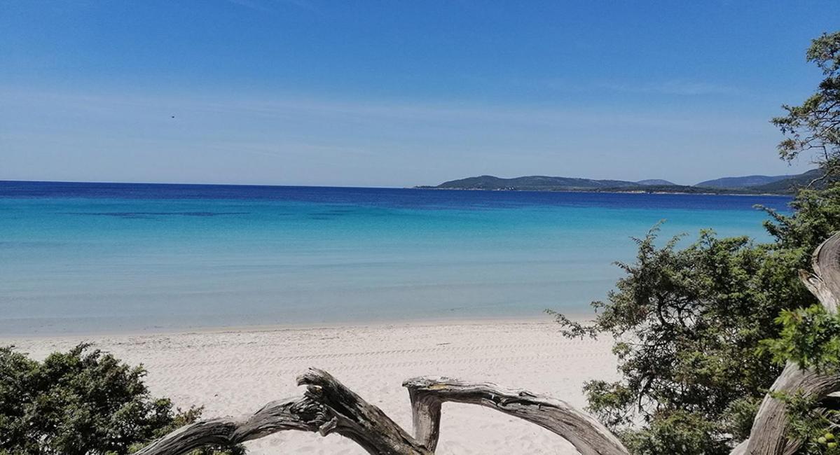 Vila Lu Bobo Alghero Exteriér fotografie